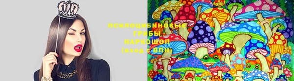 круглые Вязьма