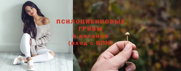 mix Вяземский