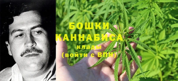 альфа пвп Володарск
