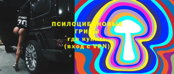 мдпв Вязники