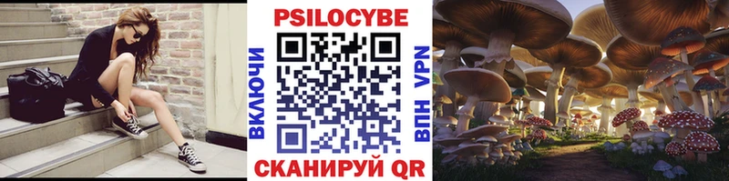Псилоцибиновые грибы Psilocybine cubensis  Купить закладки  Тюкалинск 